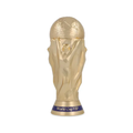 World Cup VIP