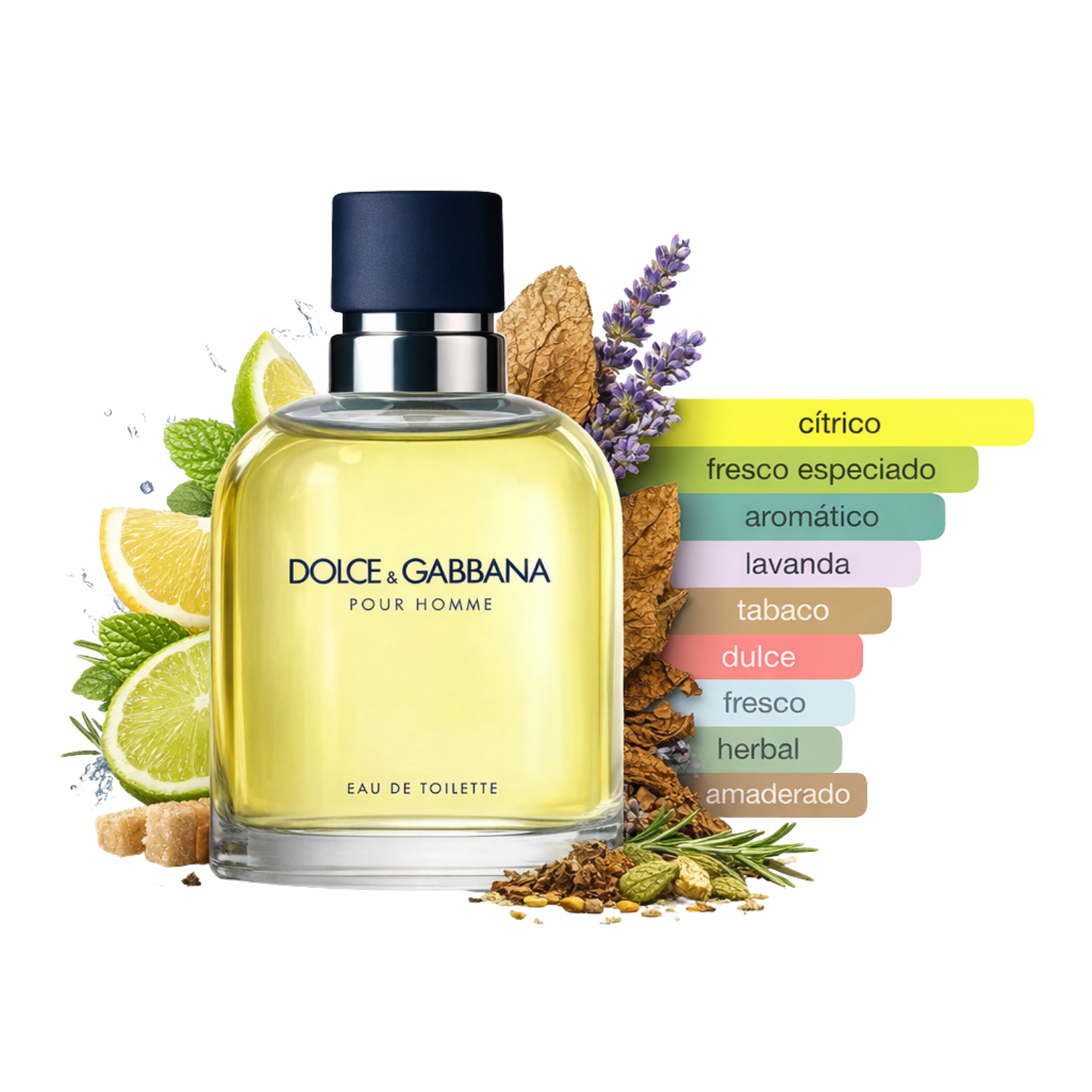 Dolce & Gabbana Pour Homme